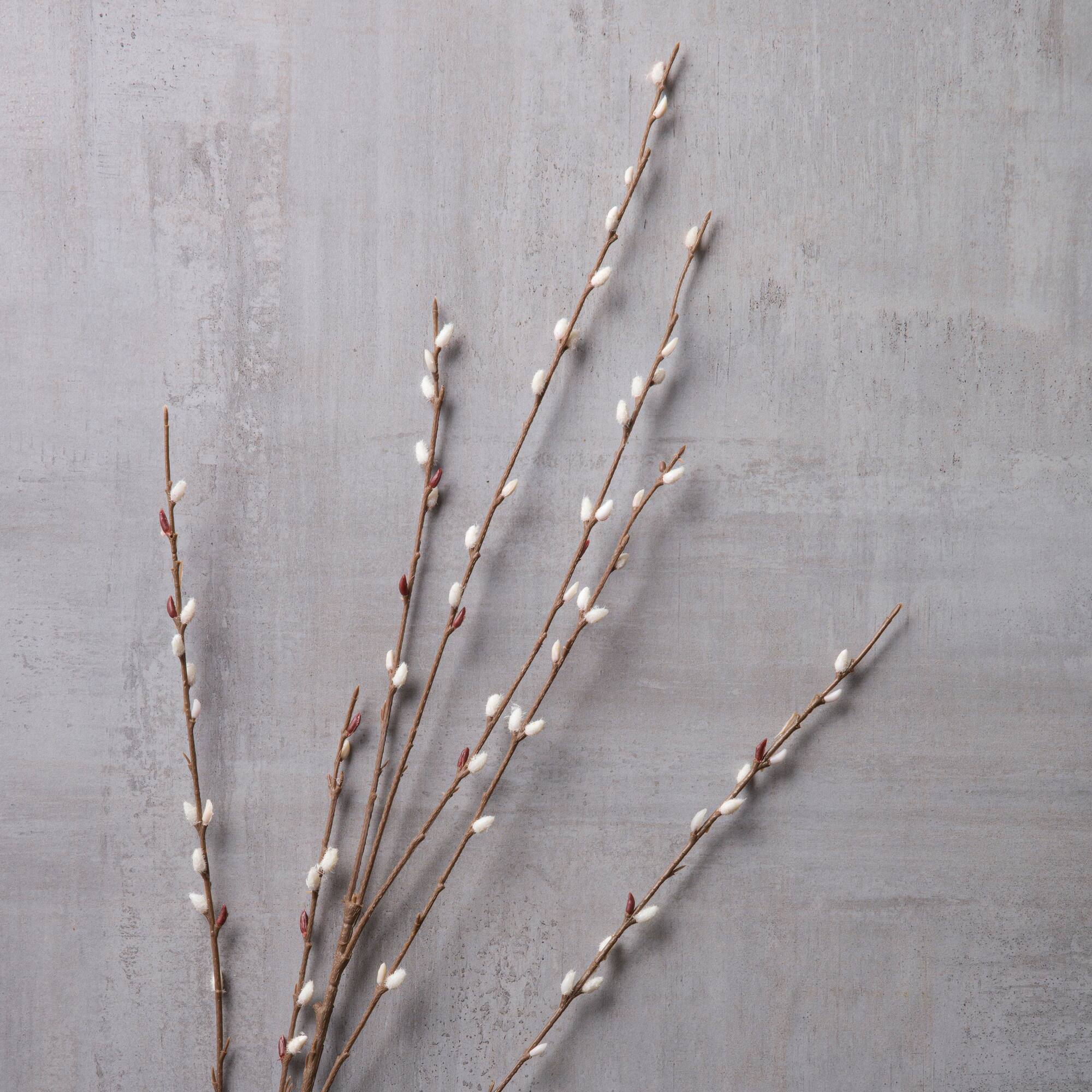 18 Pack: Pussy Willow Stem by Ashland®